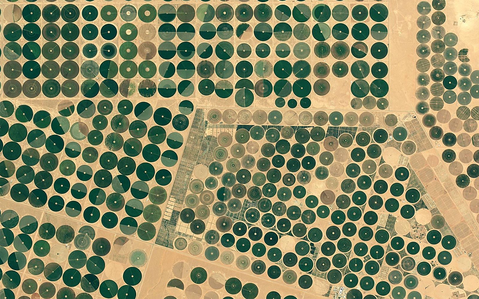 Evapotranspiration Monitoring